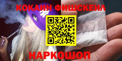 стаф Дубна