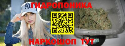 стаф Дубна