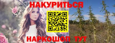 стаф Дубна