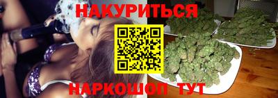 стаф Дубна