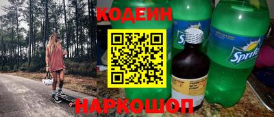 стаф Дубна