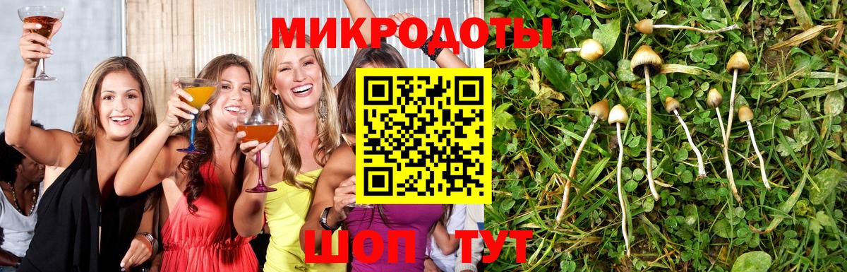 Псилоцибиновые грибы ЛСД Мирный