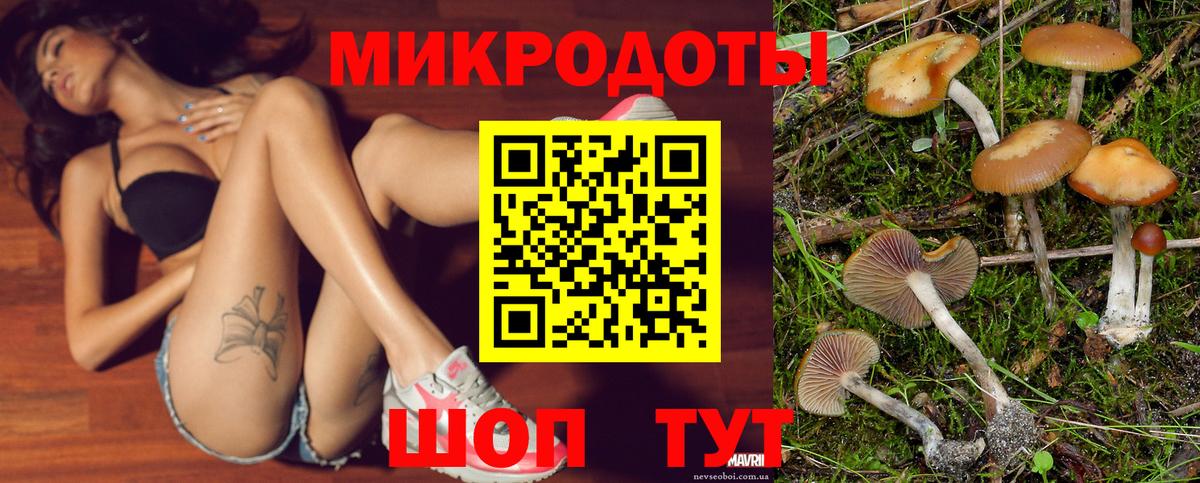 купить  цена  Вход с VPN  Мирный  Псилоцибиновые грибы Magic Shrooms 